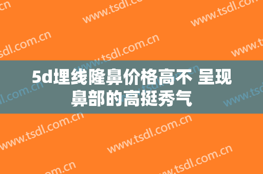 5d埋线隆鼻价格高不 呈现鼻部的高挺秀气