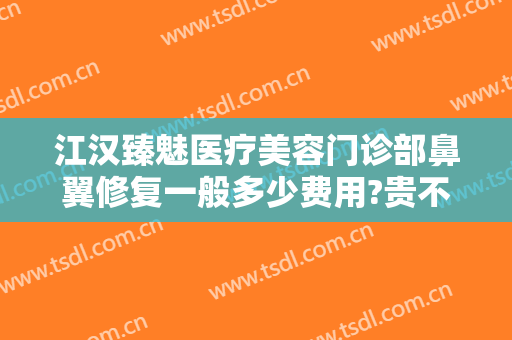 江汉臻魅医疗美容门诊部鼻翼修复一般多少费用?贵不贵?