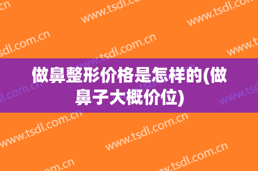 做鼻整形价格是怎样的(做鼻子大概价位)