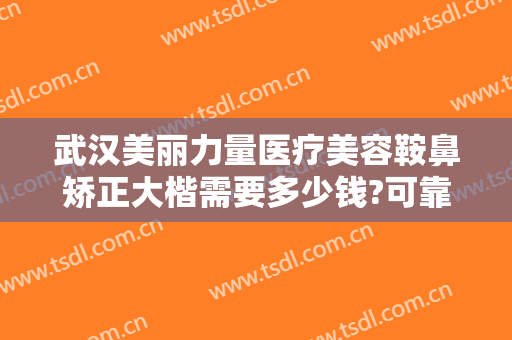 武汉美丽力量医疗美容鞍鼻矫正大楷需要多少钱?可靠吗?