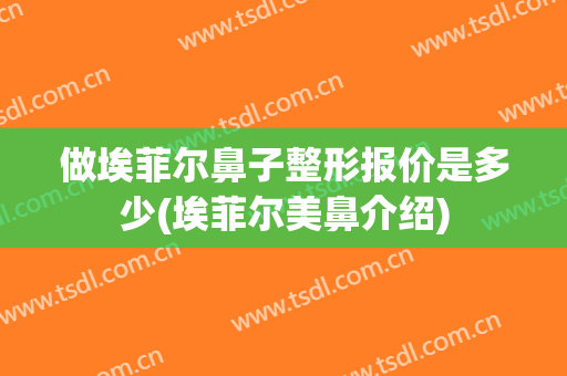 做埃菲尔鼻子整形报价是多少(埃菲尔美鼻介绍)