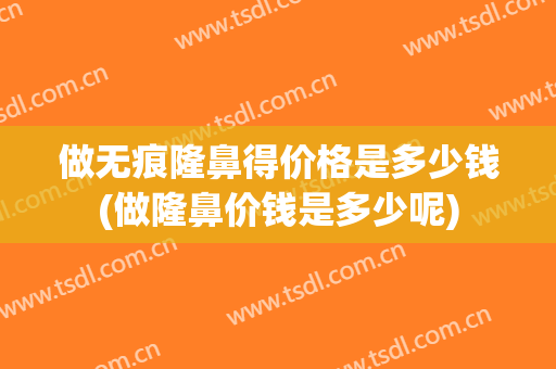 做无痕隆鼻得价格是多少钱(做隆鼻价钱是多少呢)