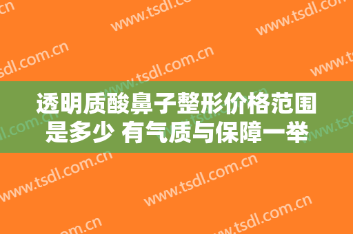 透明质酸鼻子整形价格范围是多少 有气质与保障一举二得