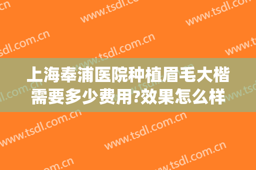 上海奉浦医院种植眉毛大楷需要多少费用?效果怎么样?(上海植眉医院哪家比较好)