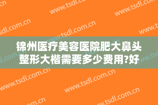 锦州医疗美容医院肥大鼻头整形大楷需要多少费用?好不好?
