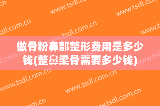 做骨粉鼻部整形费用是多少钱(整鼻梁骨需要多少钱)