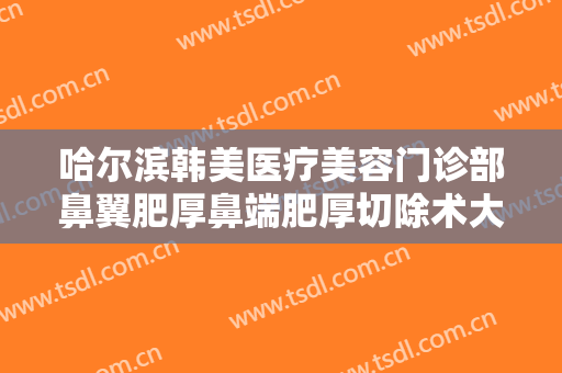 哈尔滨韩美医疗美容门诊部鼻翼肥厚鼻端肥厚切除术大楷需要多少费用?怎么样?