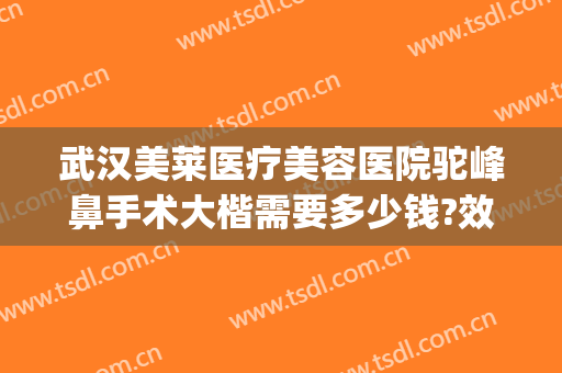 武汉美莱医疗美容医院驼峰鼻手术大楷需要多少钱?效果怎么样?(武汉美鼻手术美莱整形)