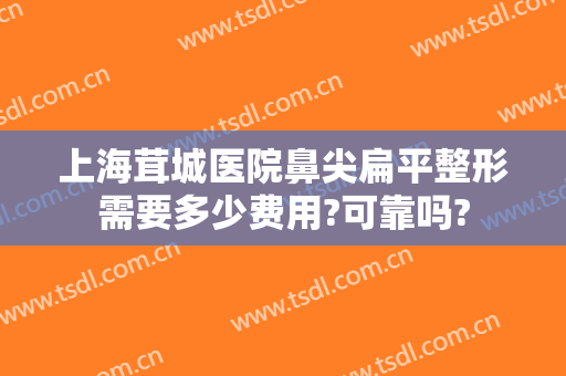 上海茸城医院鼻尖扁平整形需要多少费用?可靠吗?