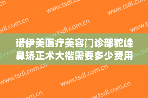 诺伊美医疗美容门诊部驼峰鼻矫正术大楷需要多少费用?可靠吗?(专业矫正驼峰鼻的医院)