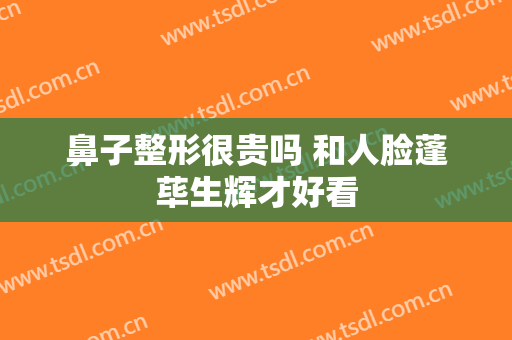 鼻子整形很贵吗 和人脸蓬荜生辉才好看