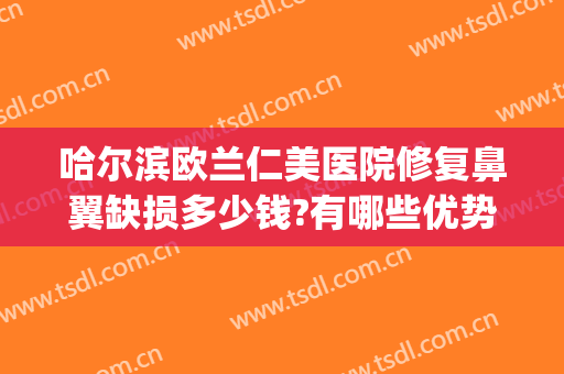哈尔滨欧兰仁美医院修复鼻翼缺损多少钱?有哪些优势?(excel表格格式错误如何还原)