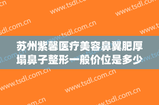 苏州紫馨医疗美容鼻翼肥厚塌鼻子整形一般价位是多少?效果怎么样?(紫 馨广州三级外科鼻整形医院)