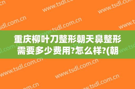 重庆柳叶刀整形朝天鼻整形需要多少费用?怎么样?(朝天鼻整形手术多少钱)