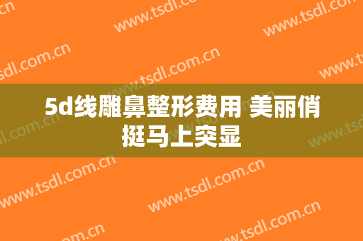 5d线雕鼻整形费用 美丽俏挺马上突显