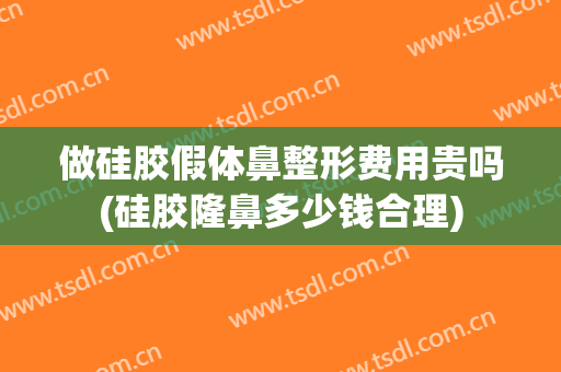 做硅胶假体鼻整形费用贵吗(硅胶隆鼻多少钱合理)