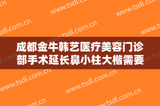 成都金牛韩艺医疗美容门诊部手术延长鼻小柱大楷需要多少费用?好不好?
