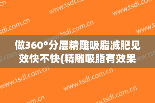 做360°分层精雕吸脂减肥见效快不快(精雕吸脂有效果吗)