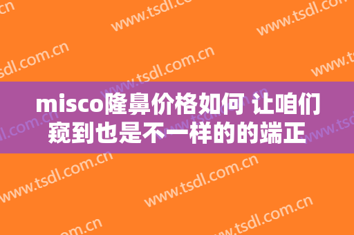 misco隆鼻价格如何 让咱们窥到也是不一样的的端正