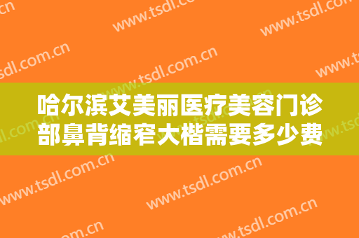 哈尔滨艾美丽医疗美容门诊部鼻背缩窄大楷需要多少费用?怎么样?