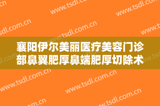 襄阳伊尔美丽医疗美容门诊部鼻翼肥厚鼻端肥厚切除术需要多少费用?贵不贵?