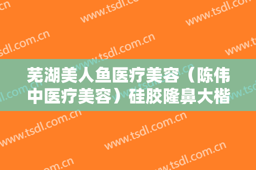 芜湖美人鱼医疗美容（陈伟中医疗美容）硅胶隆鼻大楷需要多少费用?靠谱吗?