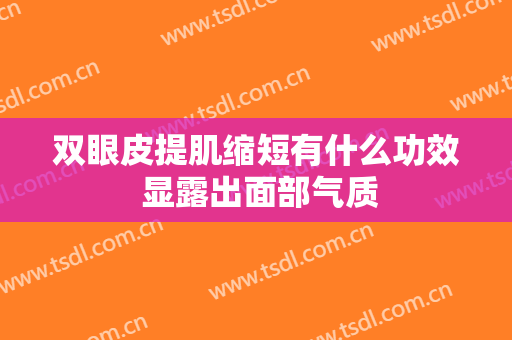 双眼皮提肌缩短有什么功效 显露出面部气质
