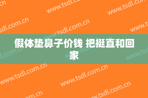 假体垫鼻子价钱 把挺直和回家