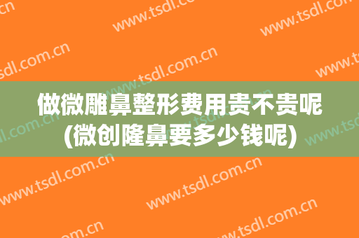 做微雕鼻整形费用贵不贵呢(微创隆鼻要多少钱呢)