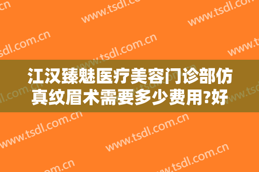 江汉臻魅医疗美容门诊部仿真纹眉术需要多少费用?好不好?