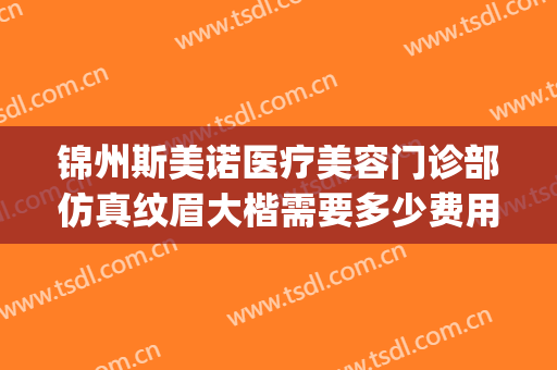 锦州斯美诺医疗美容门诊部仿真纹眉大楷需要多少费用?怎么样?(锦州斯美诺整形)