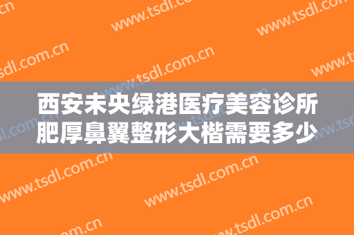 西安未央绿港医疗美容诊所肥厚鼻翼整形大楷需要多少钱?有哪些优势?