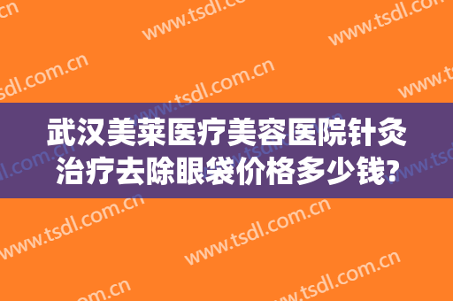 武汉美莱医疗美容医院针灸治疗去除眼袋价格多少钱?好不好?(武汉哪家医院去眼袋效果好美莱整形)