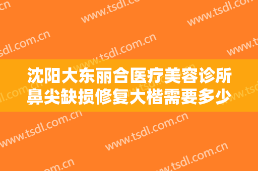 沈阳大东丽合医疗美容诊所鼻尖缺损修复大楷需要多少费用?有哪些优势?