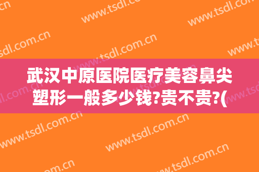 武汉中原医院医疗美容鼻尖塑形一般多少钱?贵不贵?(中心医院美容整形)