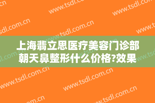 上海翡立思医疗美容门诊部朝天鼻整形什么价格?效果怎么样?