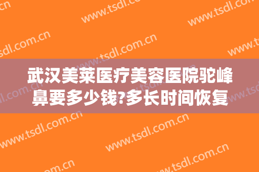 武汉美莱医疗美容医院驼峰鼻要多少钱?多长时间恢复?(驼峰鼻手术费用)