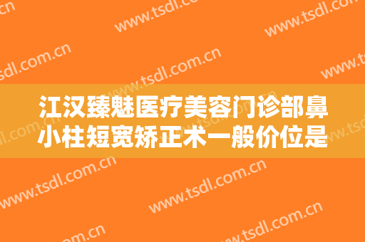 江汉臻魅医疗美容门诊部鼻小柱短宽矫正术一般价位是多少?好不好?
