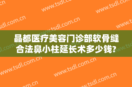 晶都医疗美容门诊部软骨缝合法鼻小柱延长术多少钱?好不好?