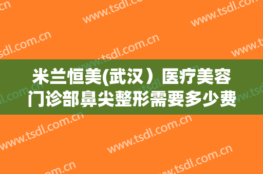 米兰恒美(武汉）医疗美容门诊部鼻尖整形需要多少费用?有哪些优势?