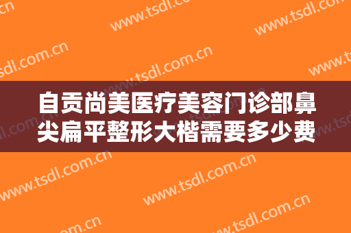 自贡尚美医疗美容门诊部鼻尖扁平整形大楷需要多少费用?需要多久恢复?