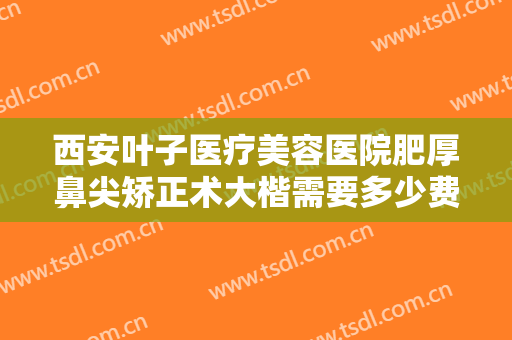 西安叶子医疗美容医院肥厚鼻尖矫正术大楷需要多少费用?贵不贵?