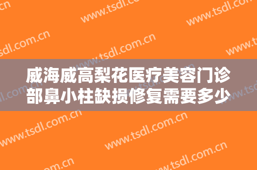 威海威高梨花医疗美容门诊部鼻小柱缺损修复需要多少费用?效果怎么样?