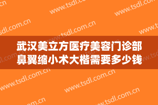 武汉美立方医疗美容门诊部鼻翼缩小术大楷需要多少钱?贵不贵?(武汉缩鼻翼手术)