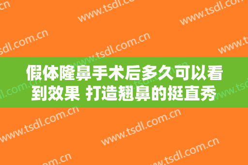 假体隆鼻手术后多久可以看到效果 打造翘鼻的挺直秀美