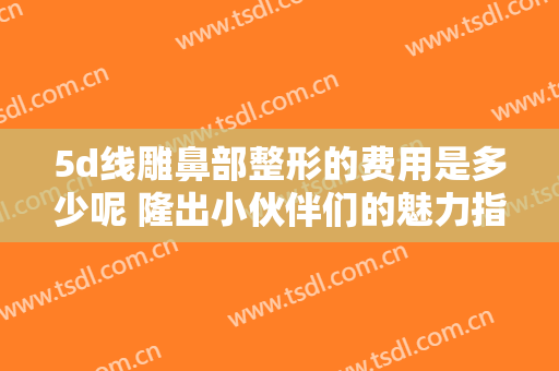 5d线雕鼻部整形的费用是多少呢 隆出小伙伴们的魅力指数