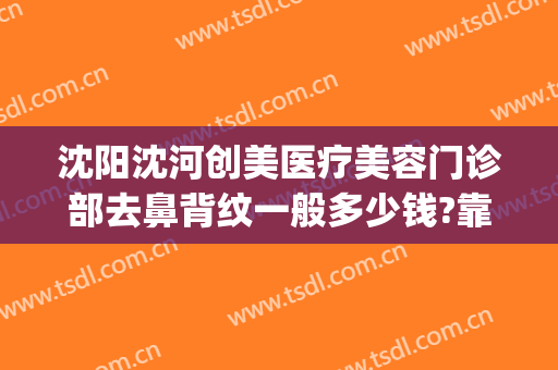沈阳沈河创美医疗美容门诊部去鼻背纹一般多少钱?靠谱吗?(沈阳创美医疗整形医院)