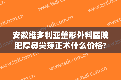 安徽维多利亚整形外科医院肥厚鼻尖矫正术什么价格?靠谱吗?(安徽维多利亚整形医院是三甲医院吗)