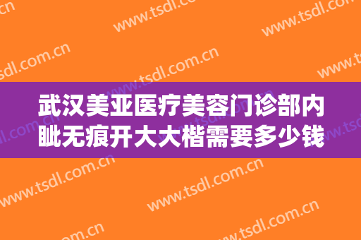 武汉美亚医疗美容门诊部内眦无痕开大大楷需要多少钱?贵不贵?(武汉大型医美医院)
