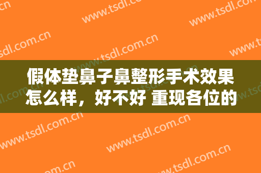 假体垫鼻子鼻整形手术效果怎么样，好不好 重现各位的魅力